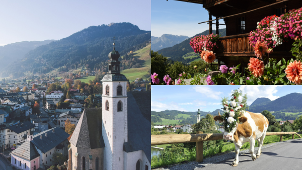 Bilder över landskap i Tyrolen och på en kossa med blomster på huvudet